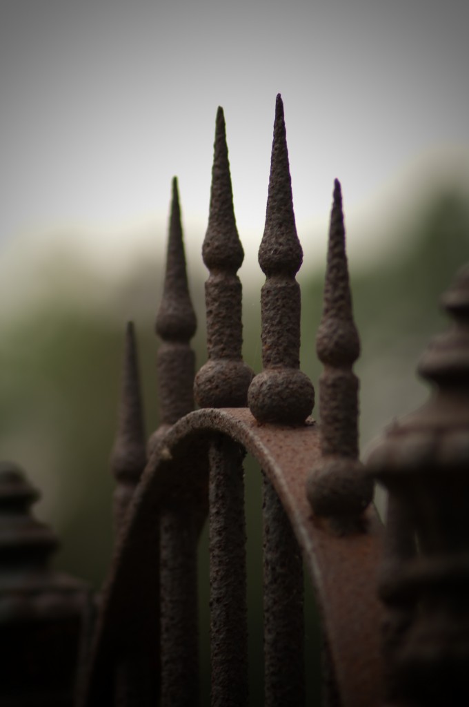rusty gate