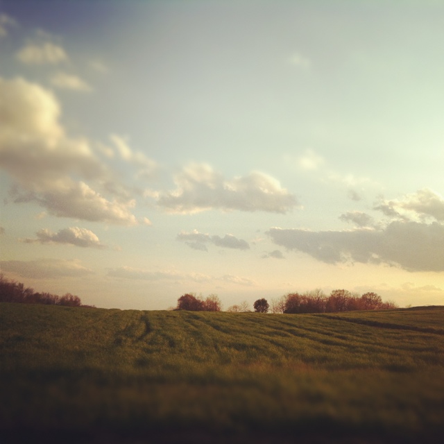 20120410-101658.jpg