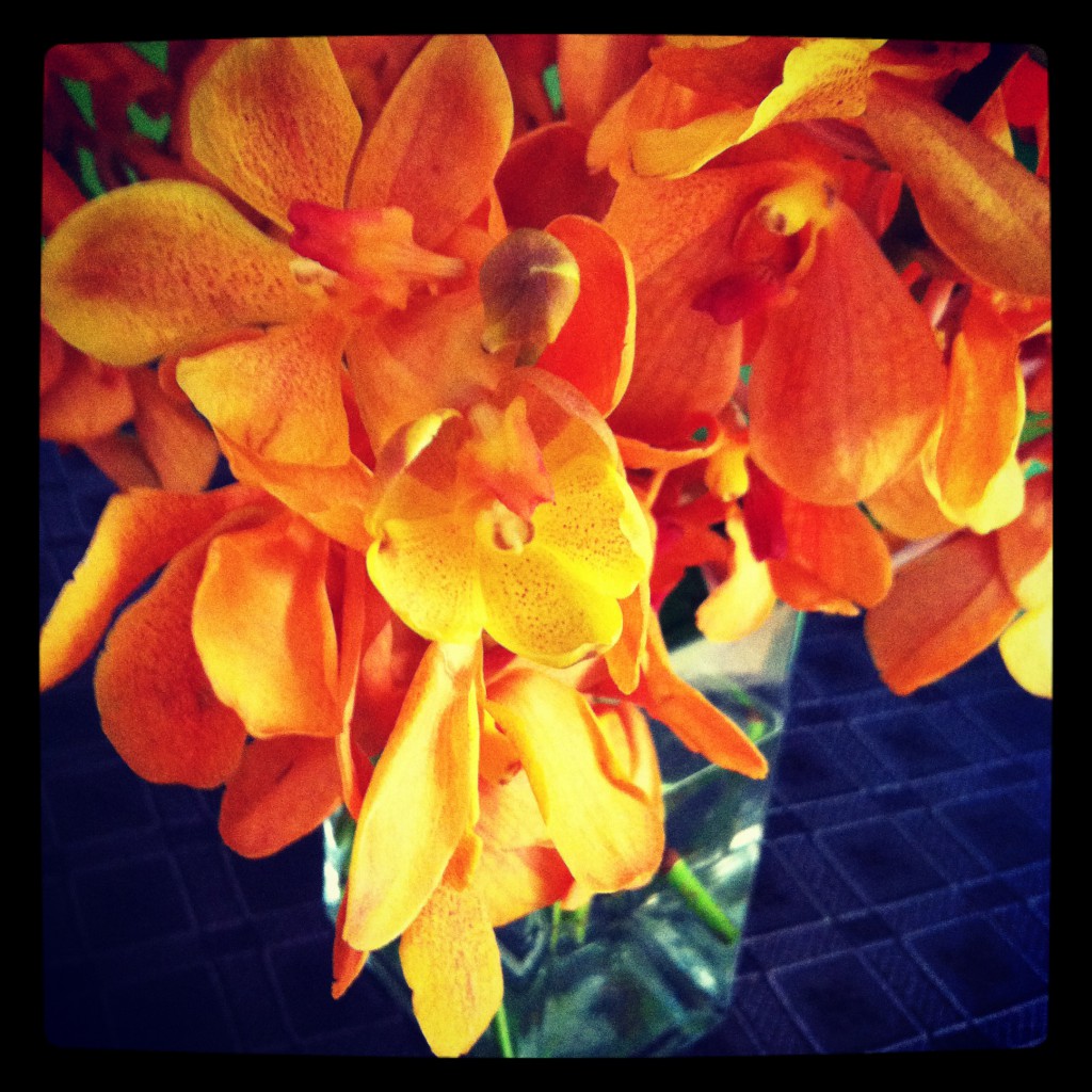 flowers from my brother and sisters